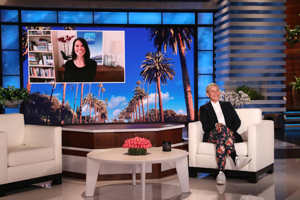 Read more about the article The Ellen Show